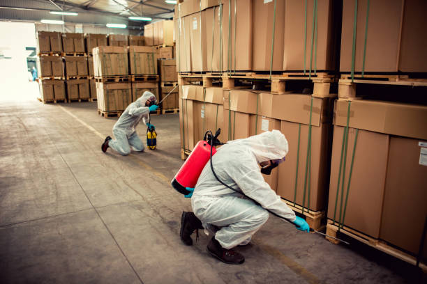 Best Rat Extermination Near Me  in Fairfield, IL