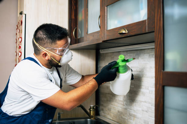 Best Pest Removal Services  in Fairfield, IL