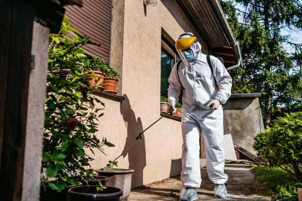 Best Bed Bug Extermination  in Fairfield, IL