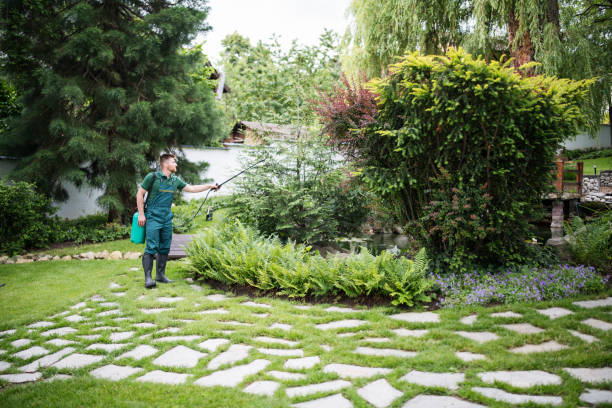 Best Pest Control Near Me  in Fairfield, IL