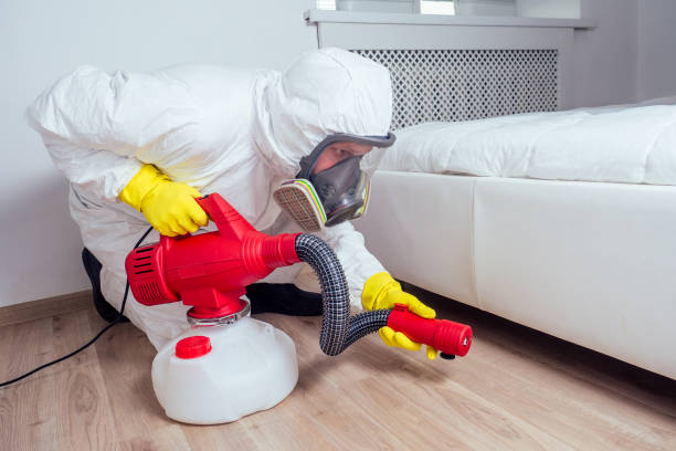 Best Termite Control Services  in Fairfield, IL