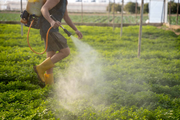 Best Affordable Pest Control Services  in Fairfield, IL