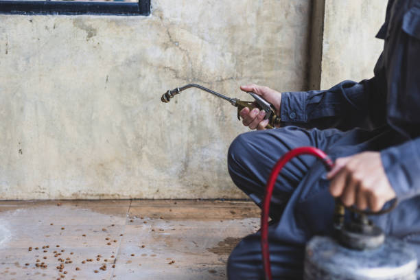 Best Local Pest Control Services  in Fairfield, IL