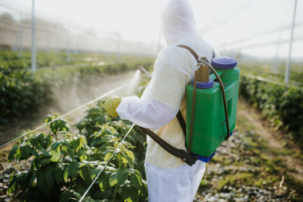 Best Local Pest Control Services  in Fairfield, IL